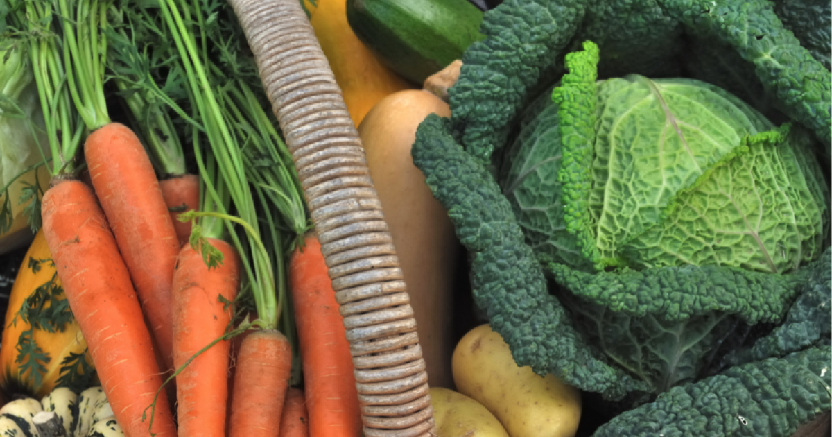 Hoe groenten langer bewaren? Velt